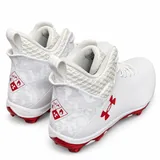 Under Armour TM Hammer 2.0 SP W, White, photo 2